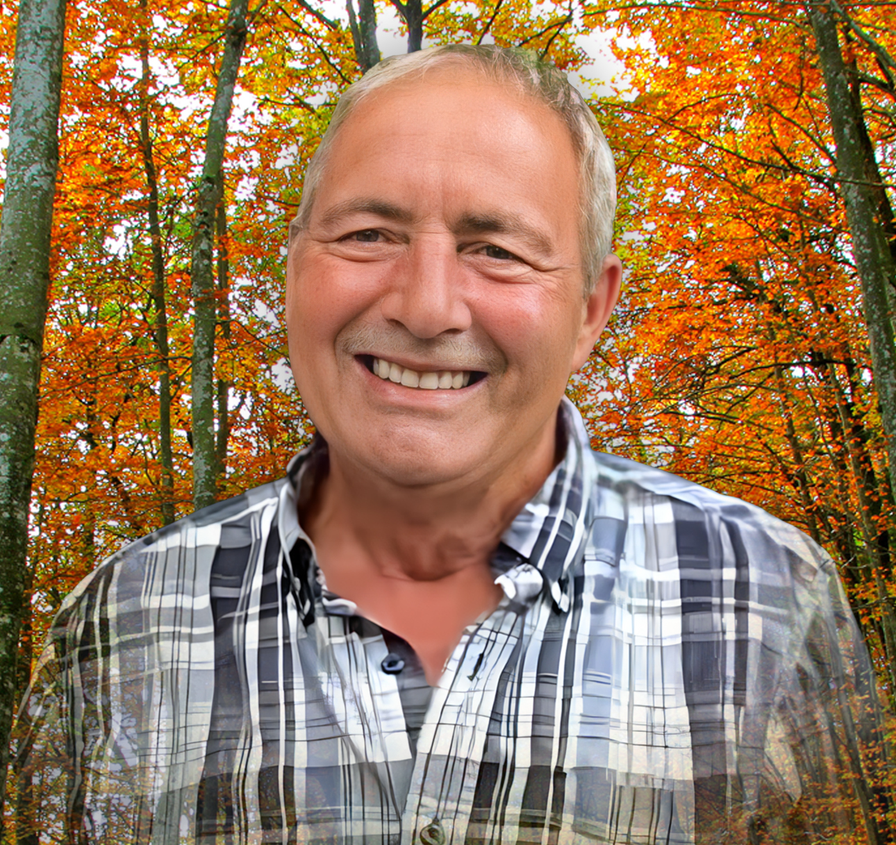 M. Denis Gagnon