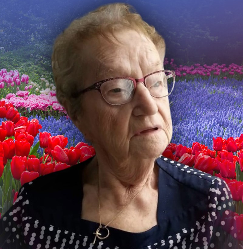 Mme Gisèle Rioux Thériault
